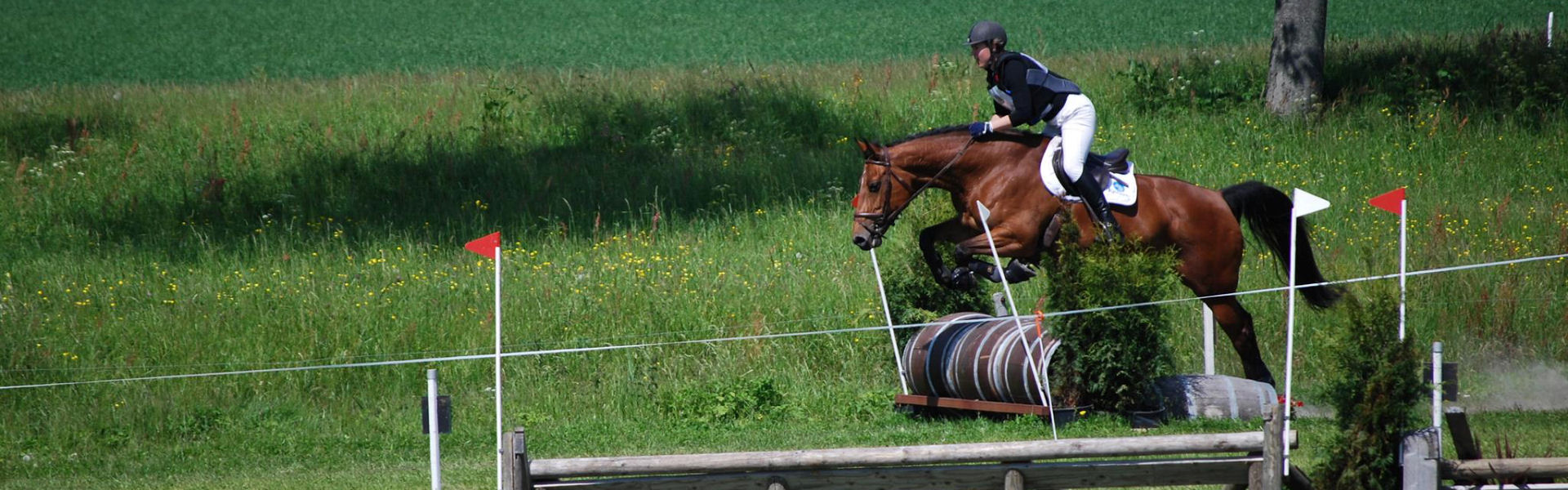 ... volledige uitslagverwerking eventing ...